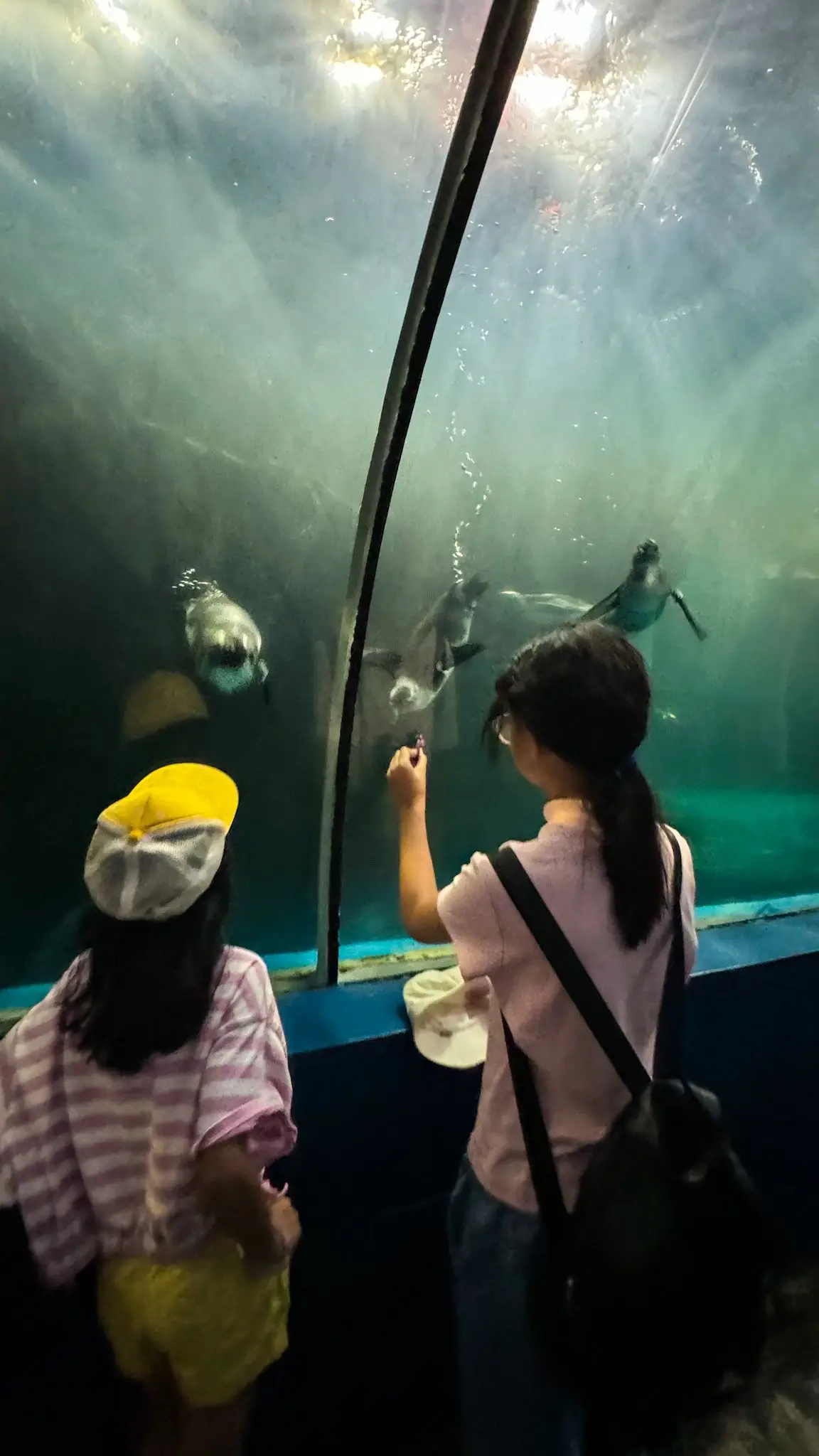 Underwater World Langkawi