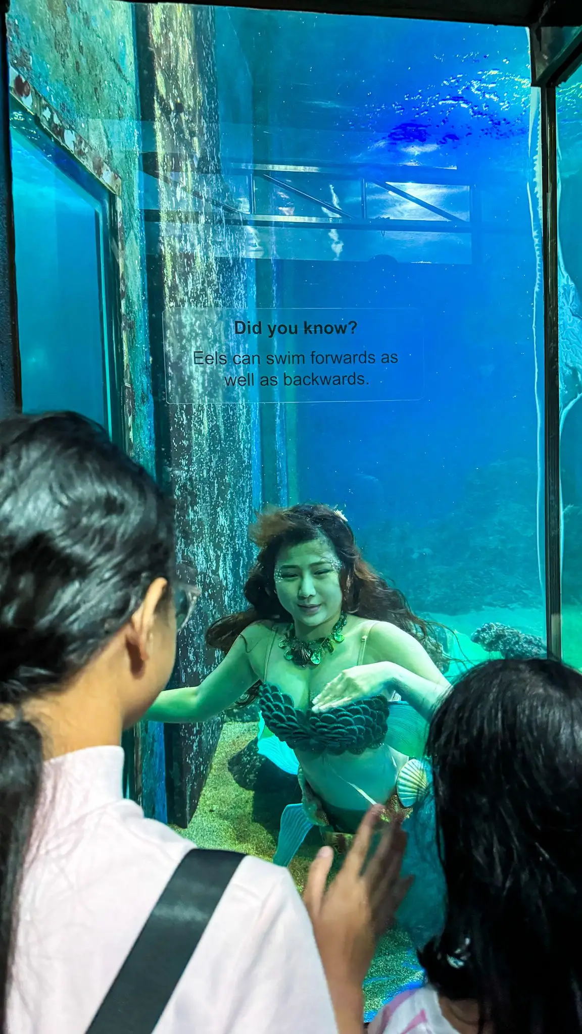 Underwater World Langkawi