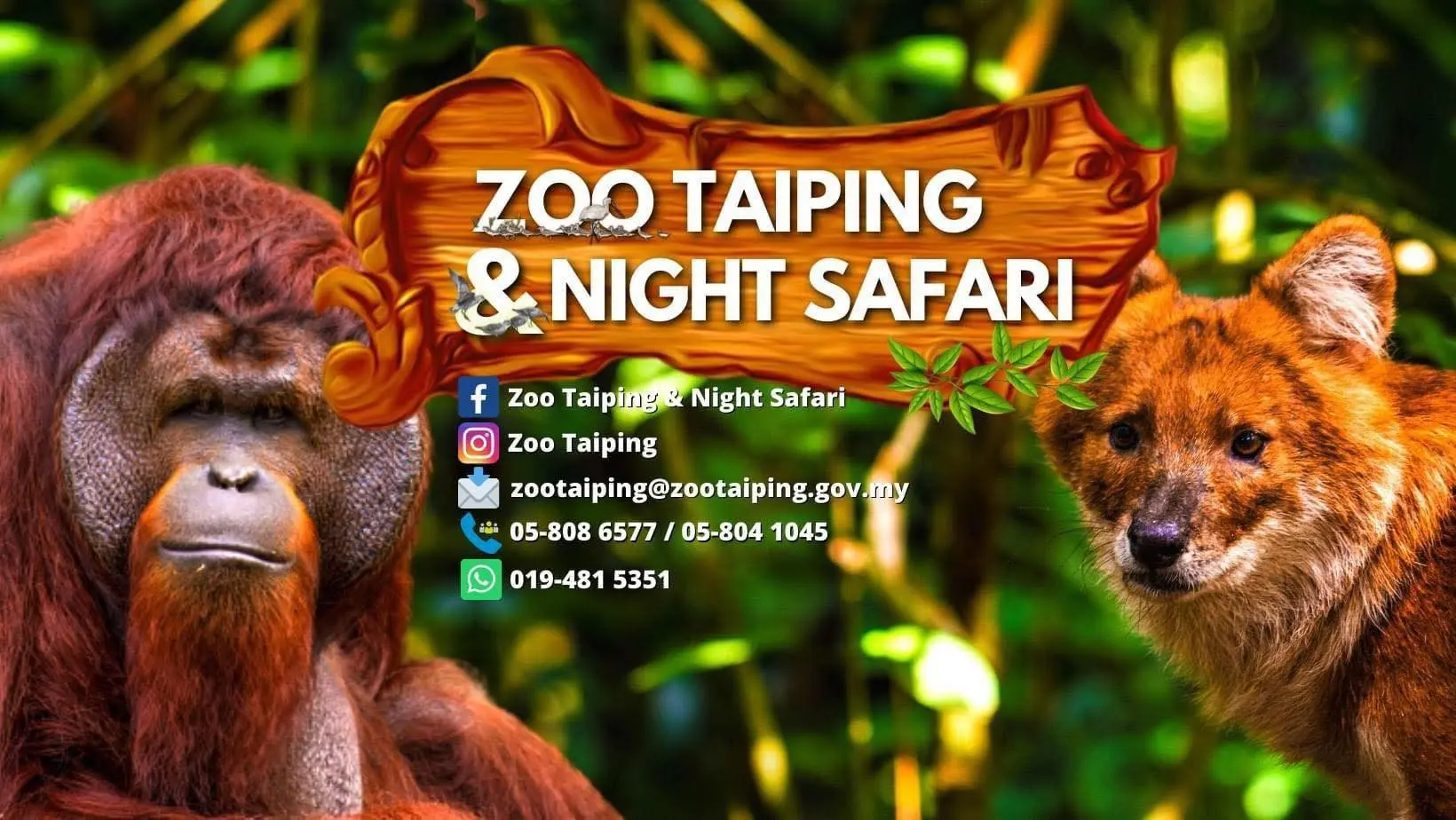 Zoo Taiping and Night Safari - Zoo & Aquarium in Taiping