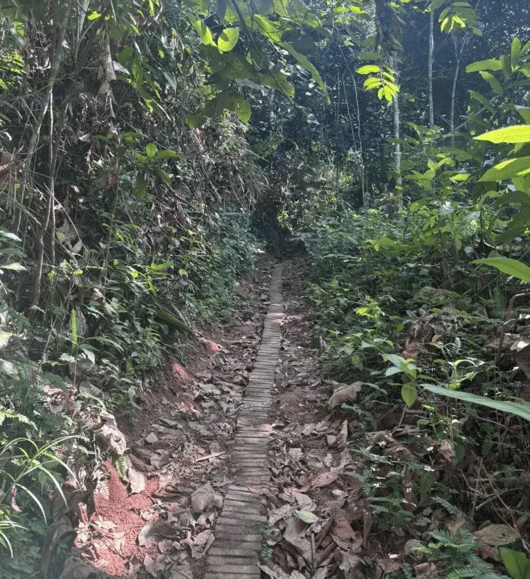 Jeram Perlus Waterfall Hike, Hulu Langat - Adventure (Image 2) - Malaysia Itinerary