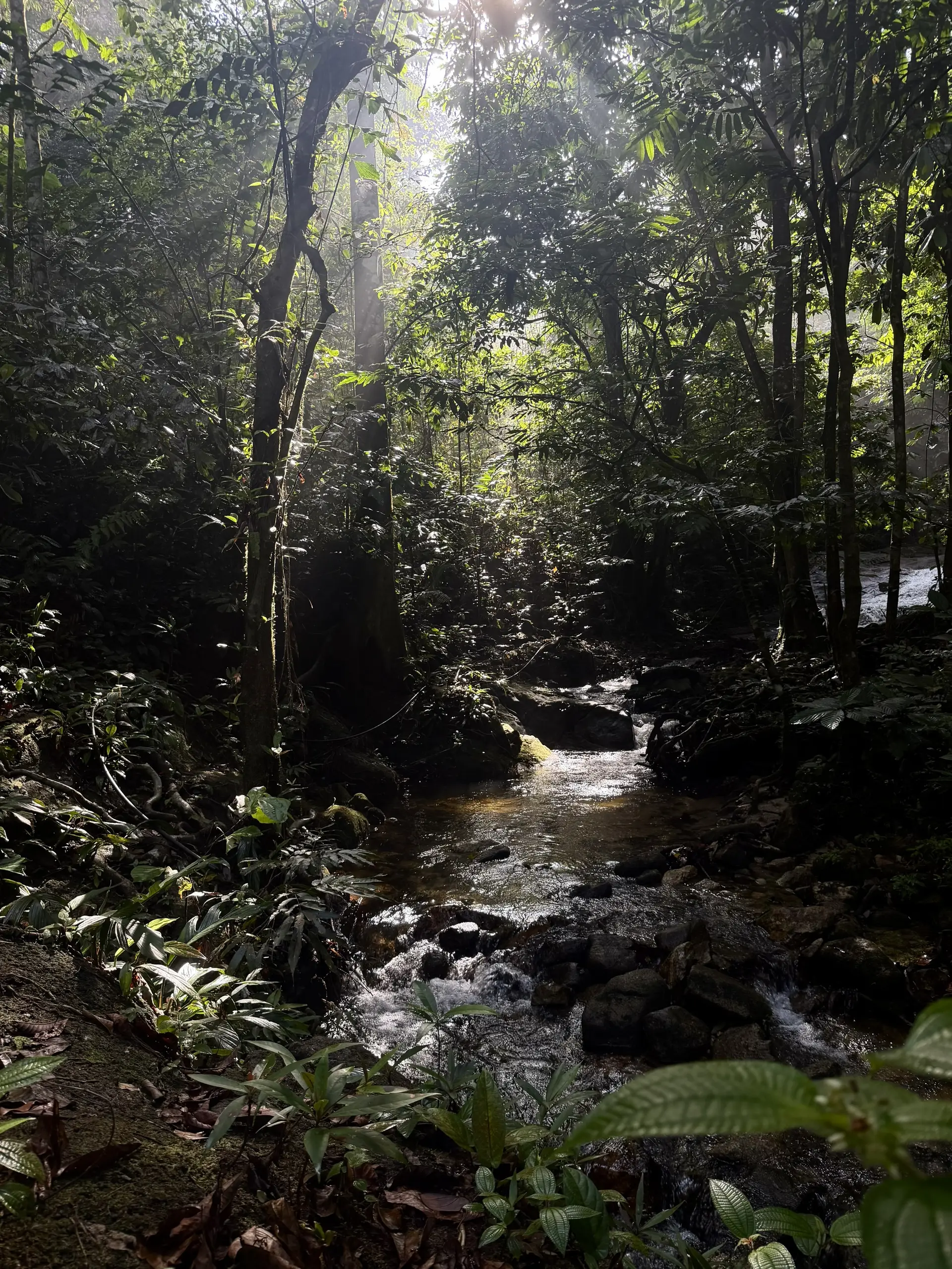 Kemensah Waterfalls Hike Kemensah Waterfalls Hike, Ampang - Adventure (Image 2) - Malaysia Itinerary