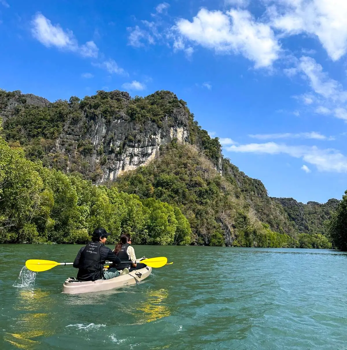 Kilim Mangrove Kayak Tour Kilim Mangrove Kayak Tour, Langkawi - Adventure (Image 3) - Malaysia Itinerary