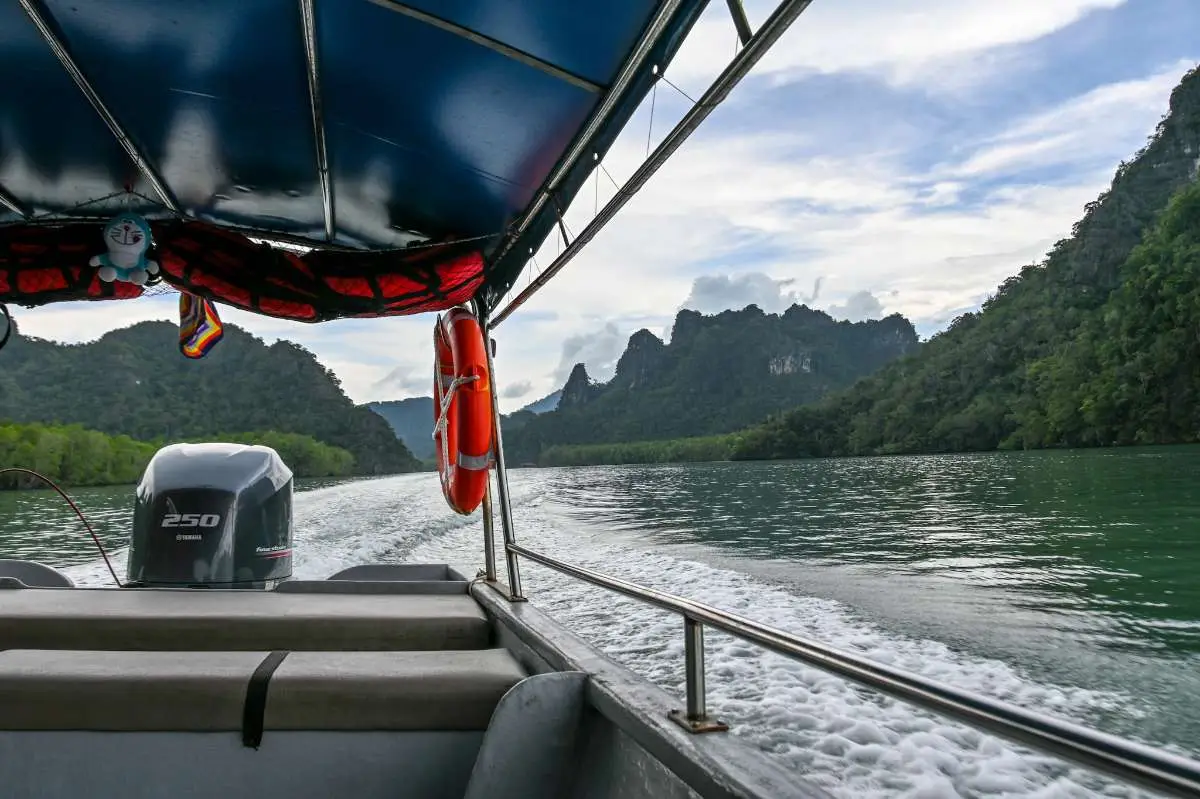 Kilim Geopark Private Mangrove Boat Tour, Langkawi - Nature (Image 3) - Malaysia Itinerary