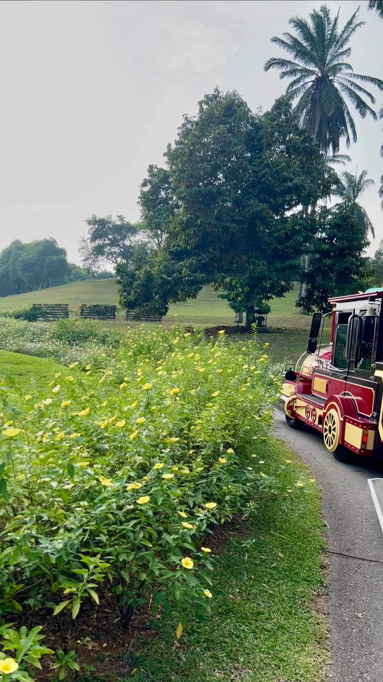 TrenBo Tour (Train Ride in Taman Botani Putrajaya), Putrajaya - Family (Image 2) - Malaysia Itinerary