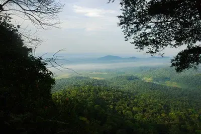 Gunung Panti Recreational Forest