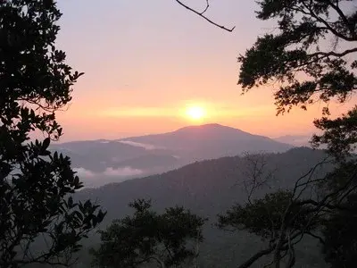 Gunung Panti Recreational Forest photo 3
