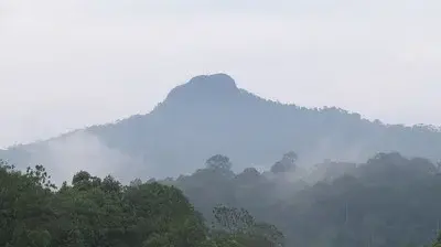 Gunung Panti Recreational Forest photo 4