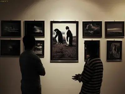 ArtMalaysia - Art Gallery & Art Street in Langkawi