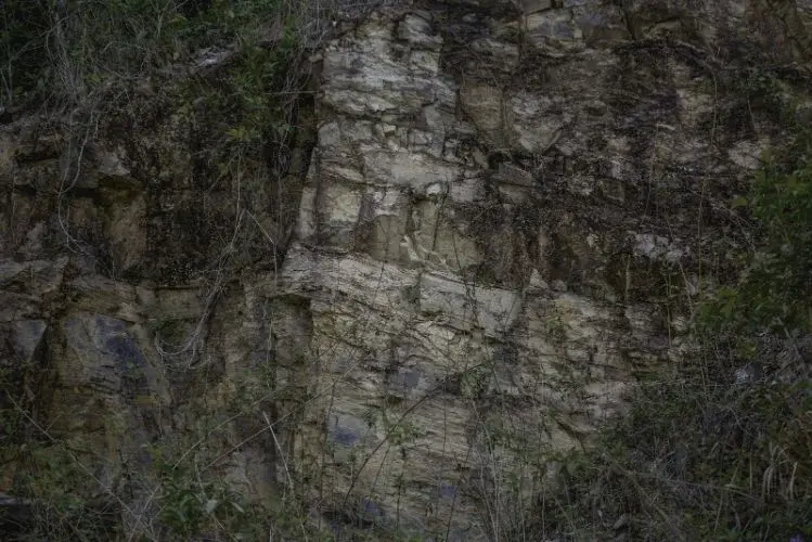 Batu Asah Brachiopod Fossils - Geosite in Langkawi