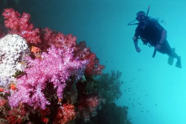 Kaca Sunken Wrecks