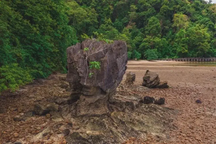 Pulau Langgun Limestone - Geosite in Langkawi